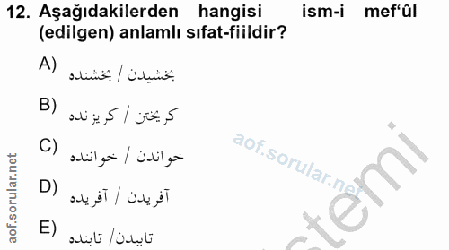 Soru 12