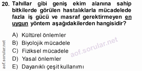Soru 20