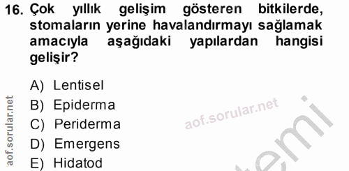 Soru 16