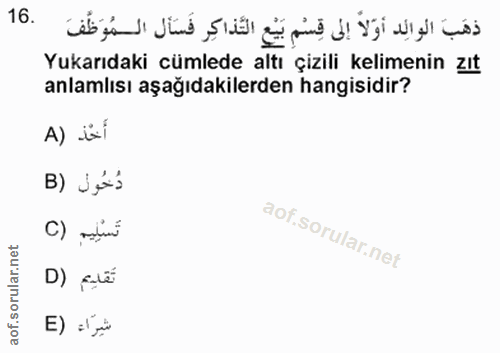 Soru 16
