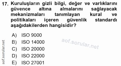Soru 17
