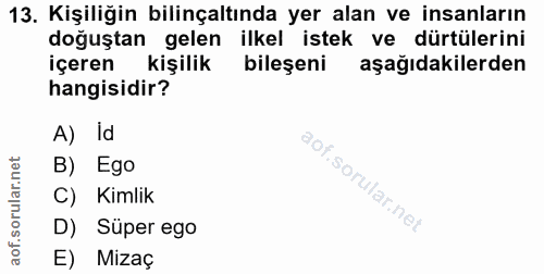 Soru 13