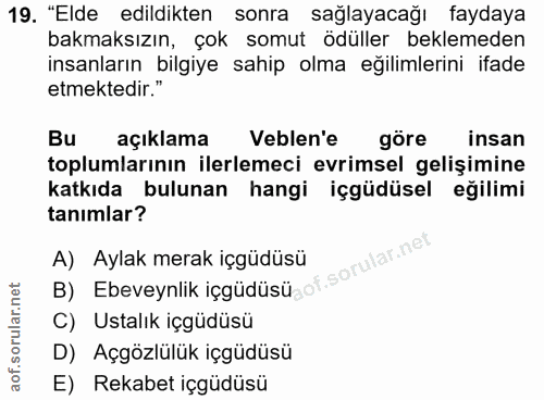 Soru 19
