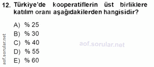 Soru 12