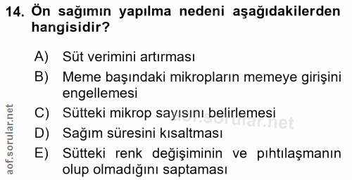 Soru 14