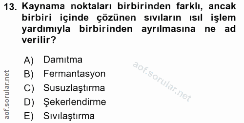 Soru 13