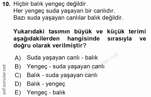 Soru 10