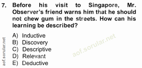 Soru 7