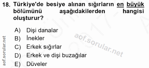 Soru 18