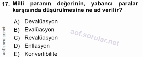 Soru 17