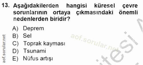 Soru 13