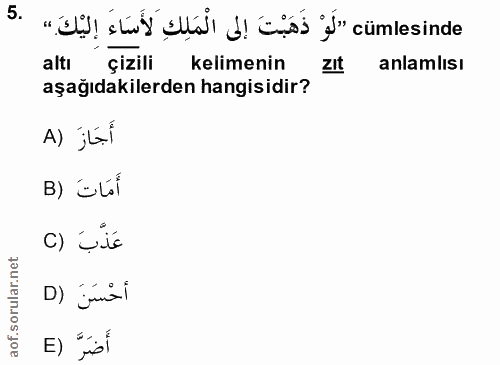 Soru 5
