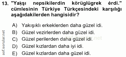 Soru 13