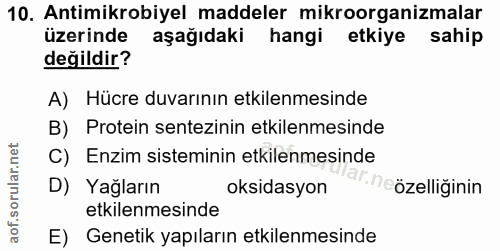 Soru 10
