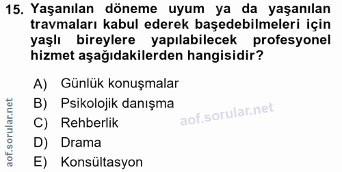 Soru 15
