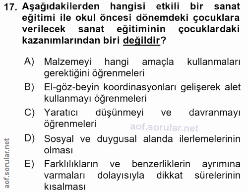 Soru 17