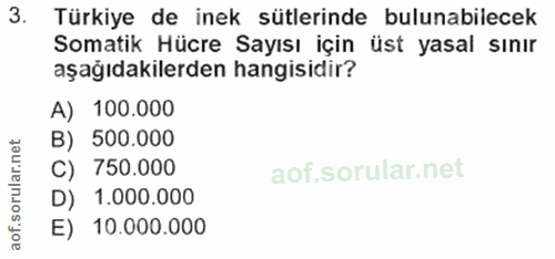 Soru 3