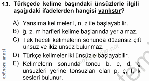 Soru 13