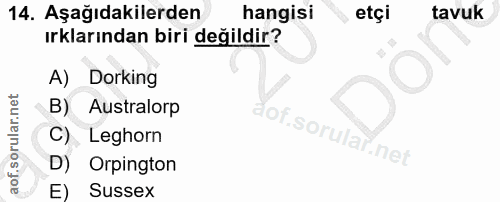 Soru 14