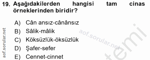 Soru 19