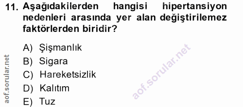 Soru 11