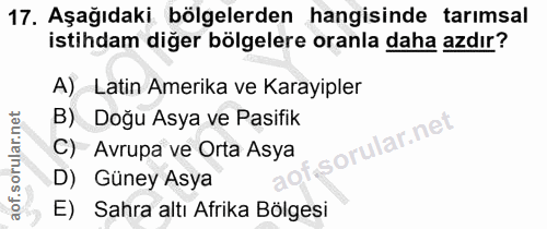 Soru 17