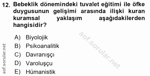 Soru 12