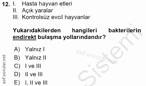 Soru 12