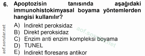 Soru 6