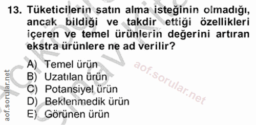 Soru 13