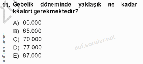 Soru 11