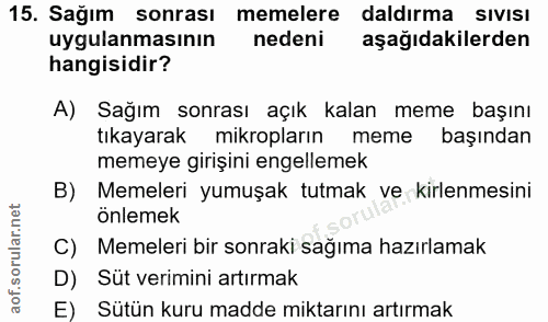 Soru 15
