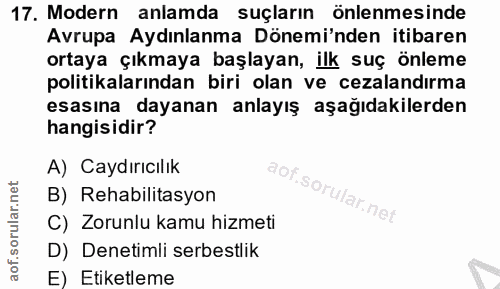 Soru 17