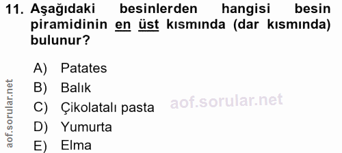 Soru 11