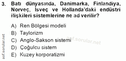 Soru 3