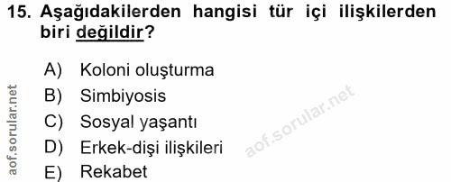 Soru 15