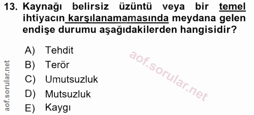 Soru 13