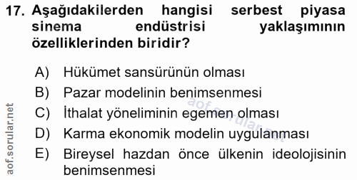 Soru 17