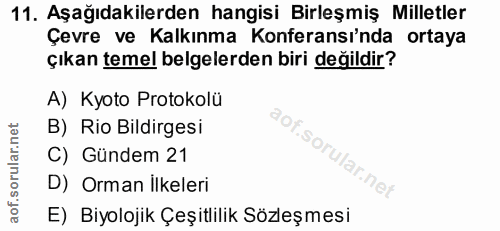 Soru 11