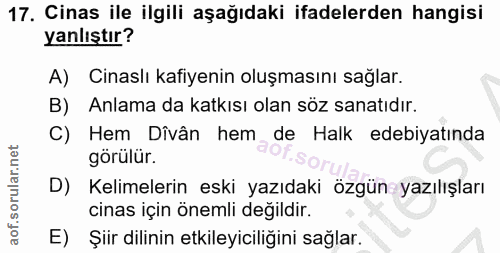 Soru 17