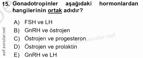 Soru 15