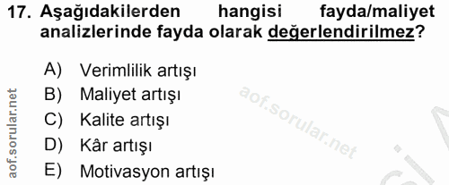 Soru 17