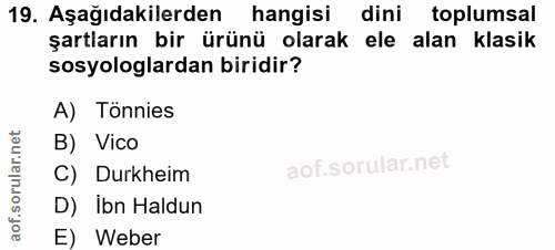 Soru 19