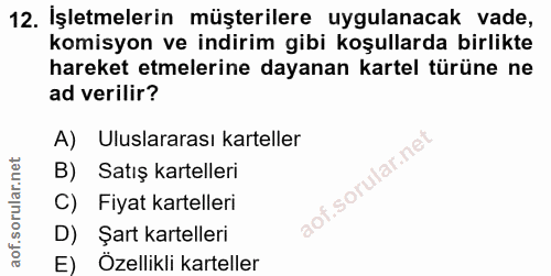Soru 12