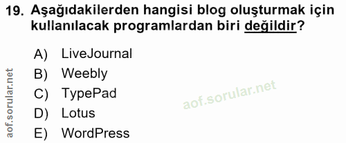 Soru 19