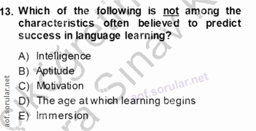 Soru 13