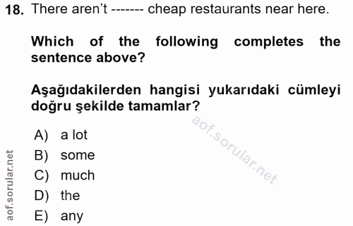 Soru 18