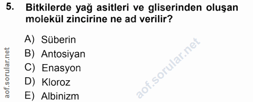 Soru 5