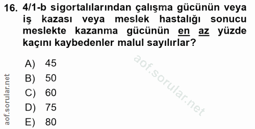Soru 16