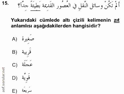 Soru 15